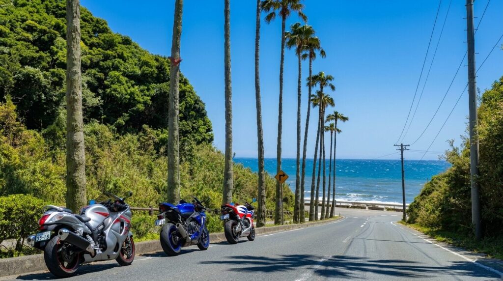 Palm tree lined coastal road in Irago Aichi Japan scenic motorcycle route